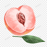 叼嘿视频下载APP应用